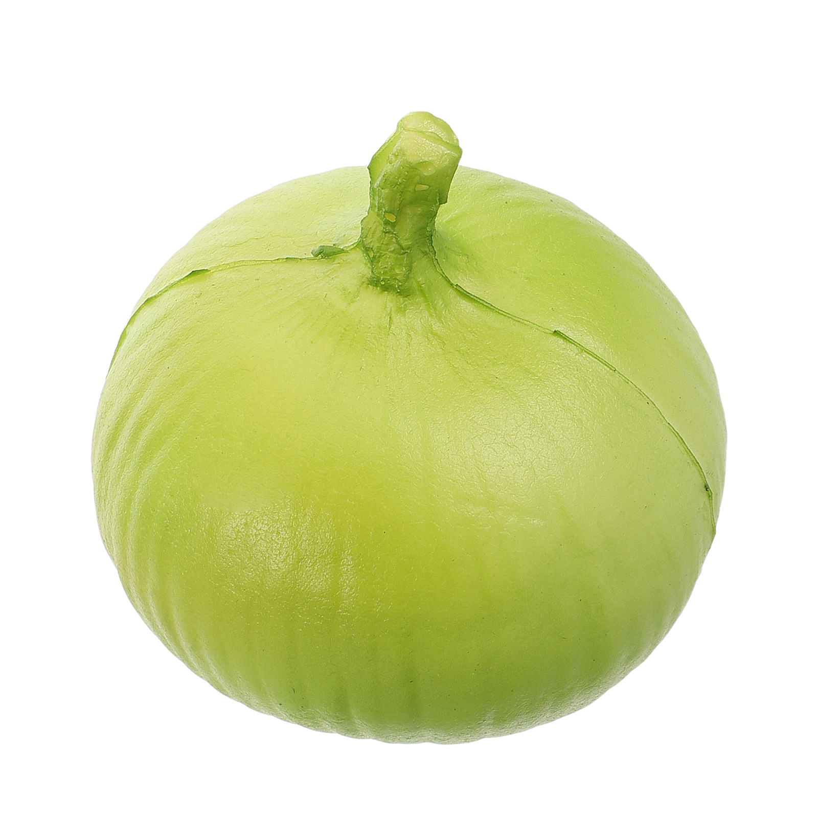 Authentic Looking Fake Onions  - Interior Design Education recension och pris
