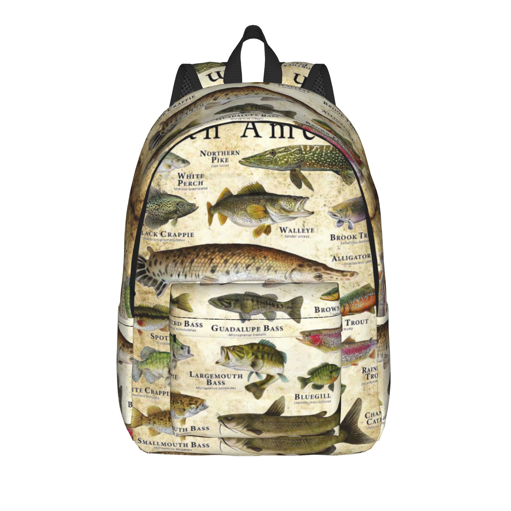Fish Alphabet Educational Fres - Interior Design Education recension och pris