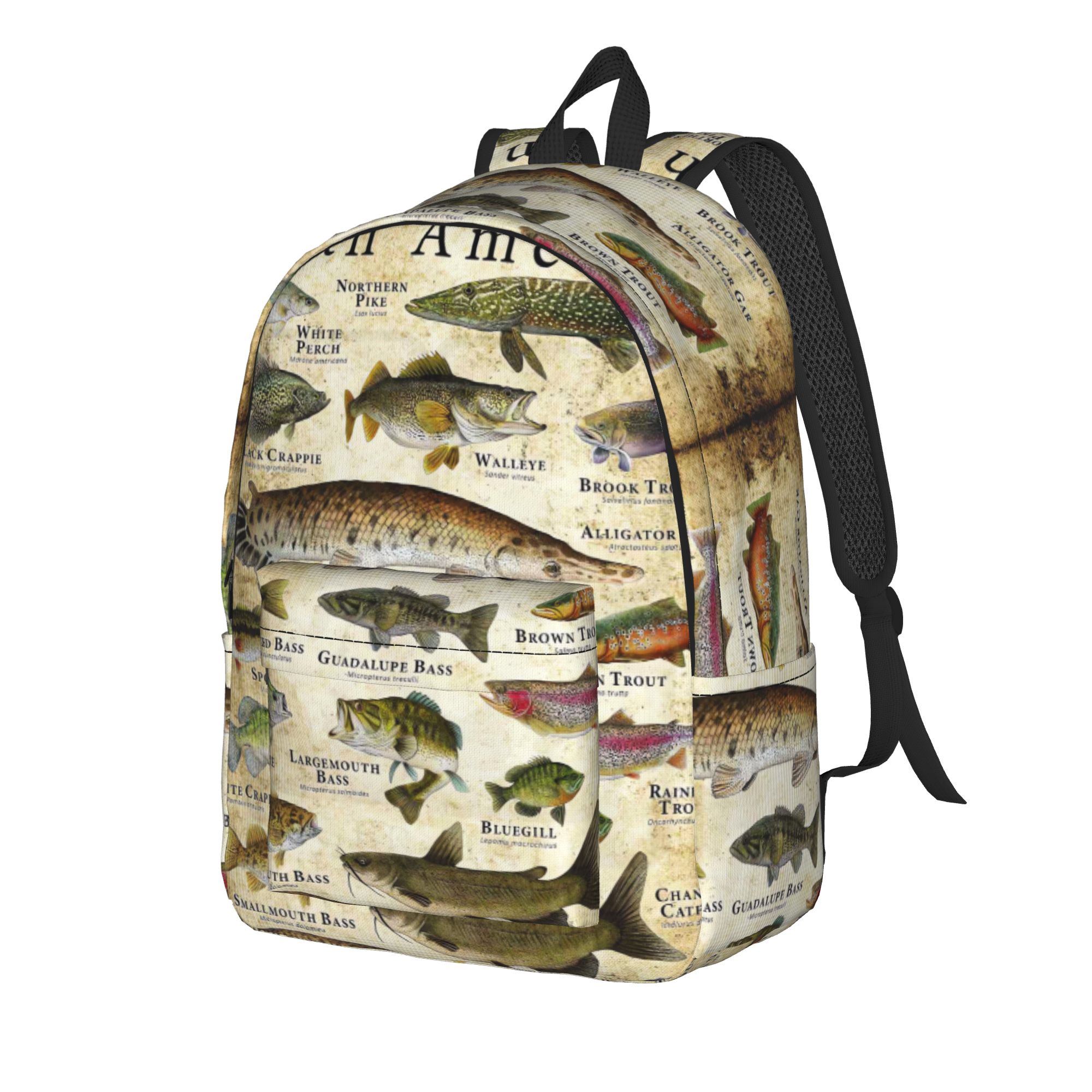 Fish Alphabet Educational Fres - Interior Design Education recension och pris