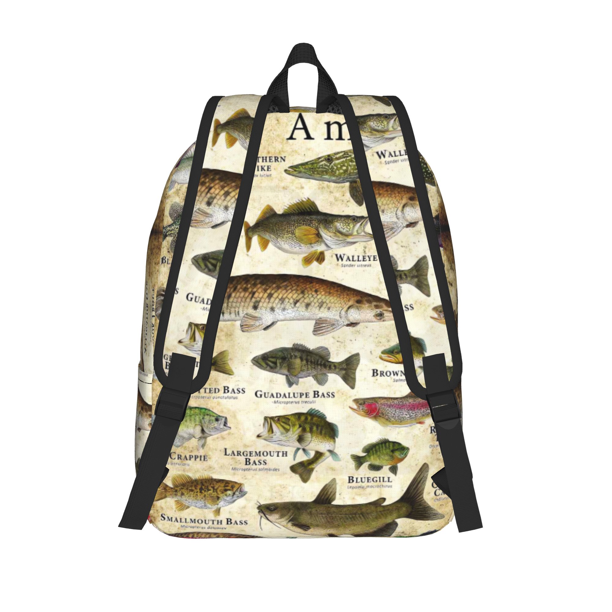 Fish Alphabet Educational Fres - Interior Design Education recension och pris